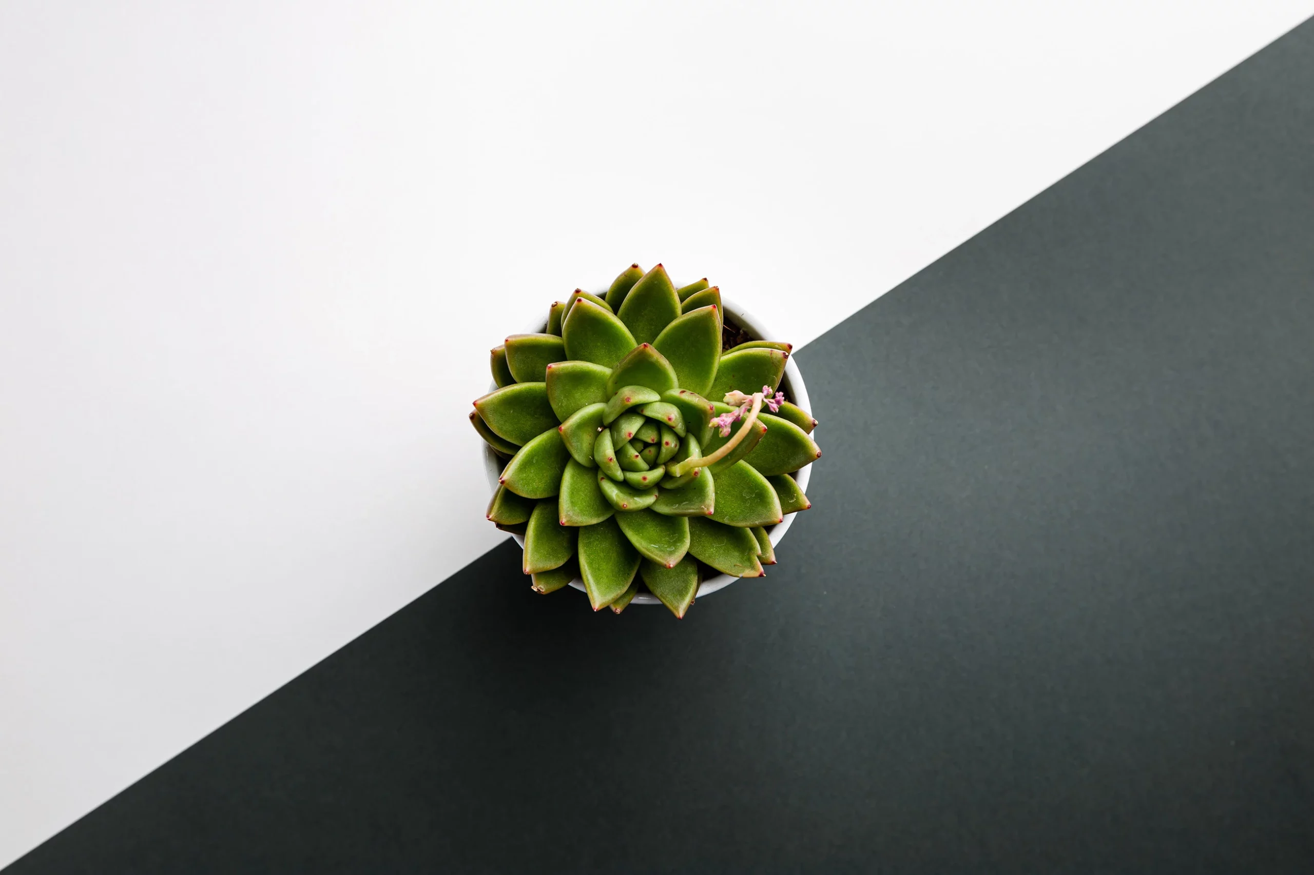 Creare arredamento in stile minimal con Flip